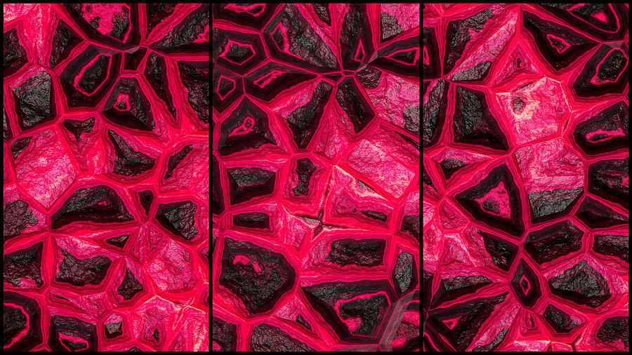 Reddish Flower Stone Wall Triptych Digital Art by Don Northup