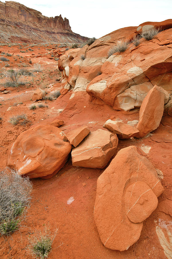 Redrock Wash near Moab Utah Photograph by Ray Mathis
