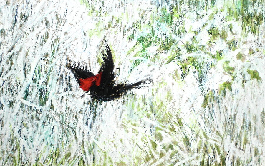 Bird Pastel - Redwing by Bonnie See