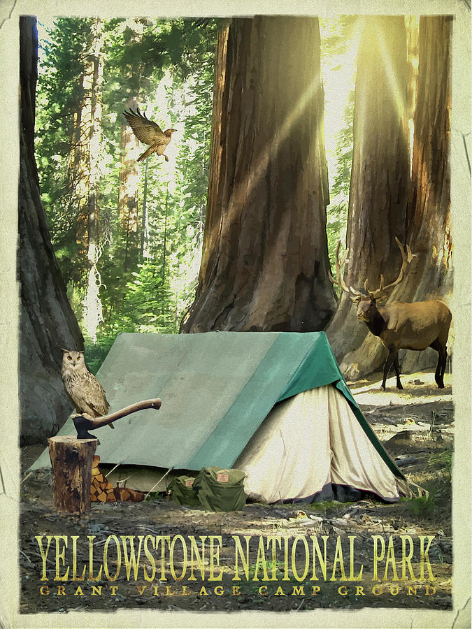 Camping Mixed Media - Redwood Camping by Old Red Truck Camping Mixed Media - Redwood Camping by Old Red Truck