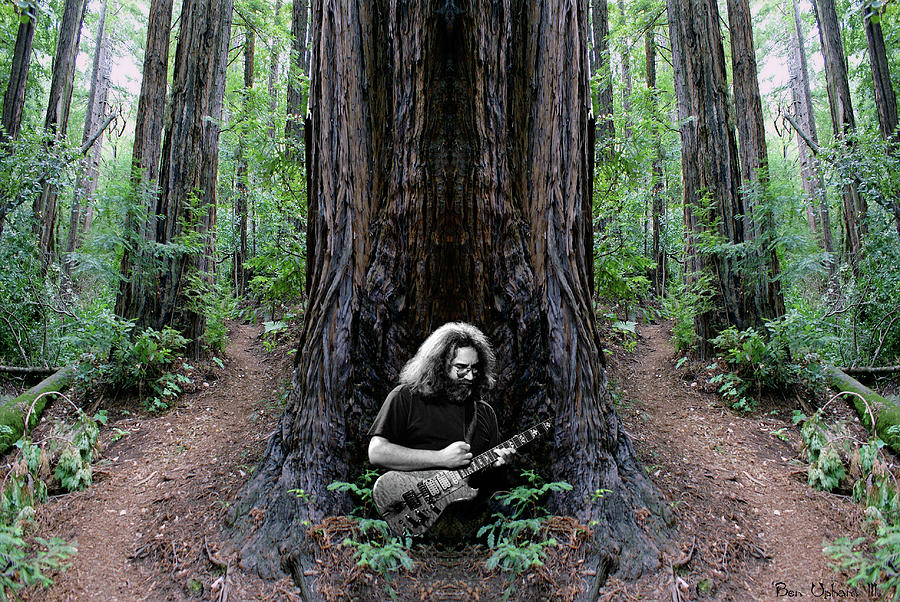 Redwood Gartreea by Ben Upham Redwood Gartreea by Ben Upham