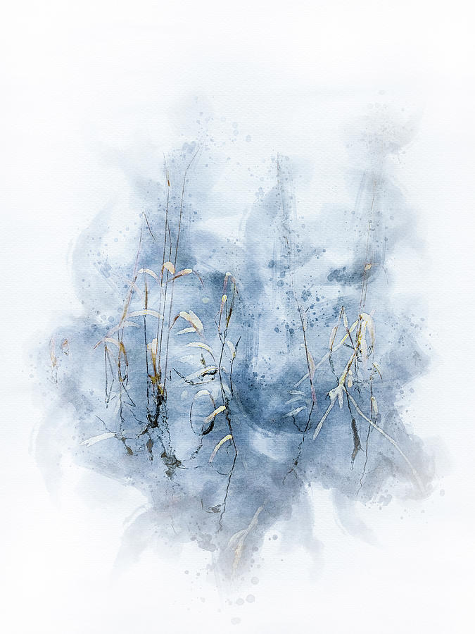 Reed in water Digital art by Edita Edith Anna Brus Reed in water Digital art by Edita Edith Anna Brus