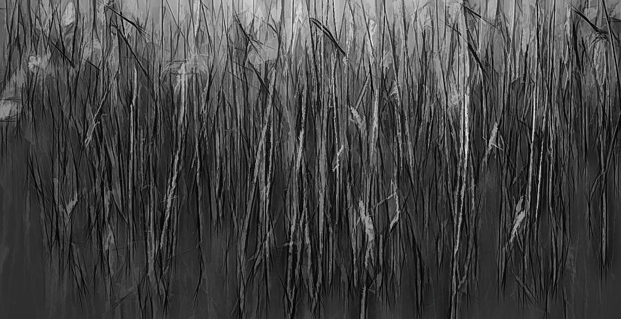 Reeds Abstract BW #i1 Digital Art by Leif Sohlman