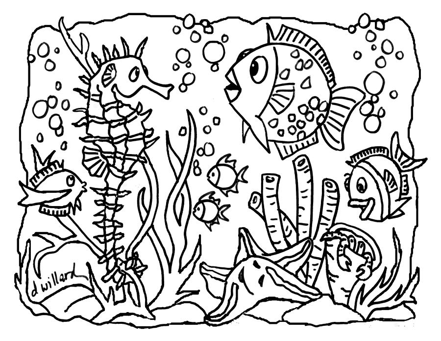 Reef Fish Drawing by Deborah Willard - Fine Art America