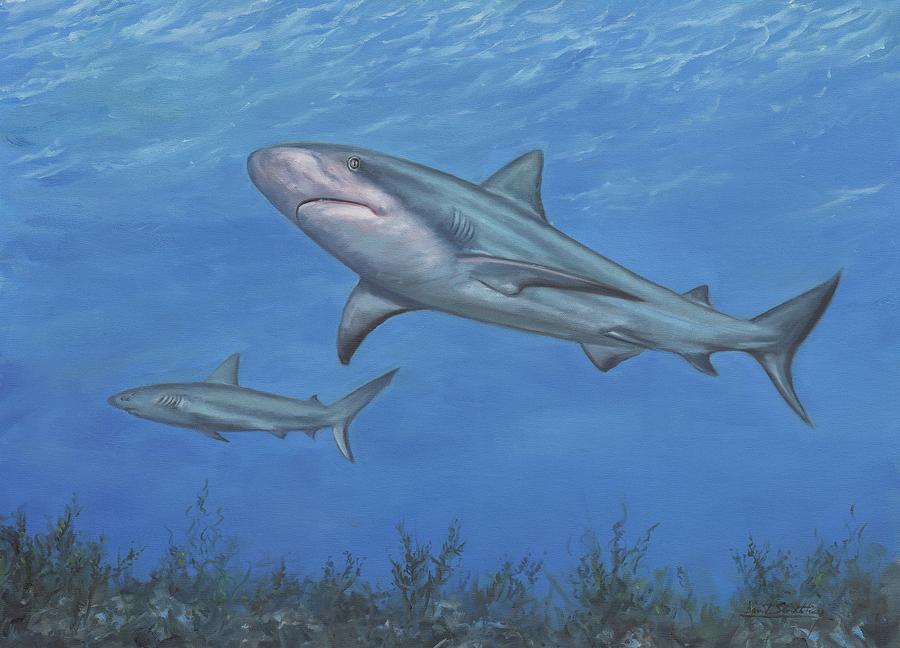 Reef Shark Painting