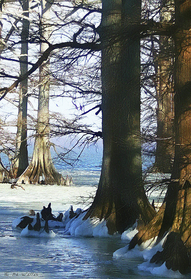 Reelfoot Lake evening glo Photograph by Bonnie Willis