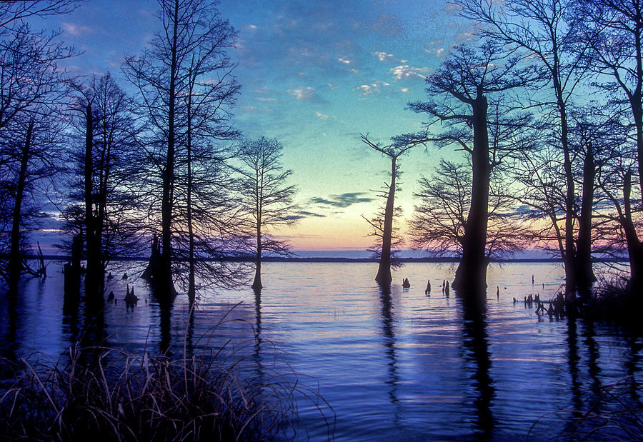 Reelfoot Lake Sunset Photograph by James C Richardson