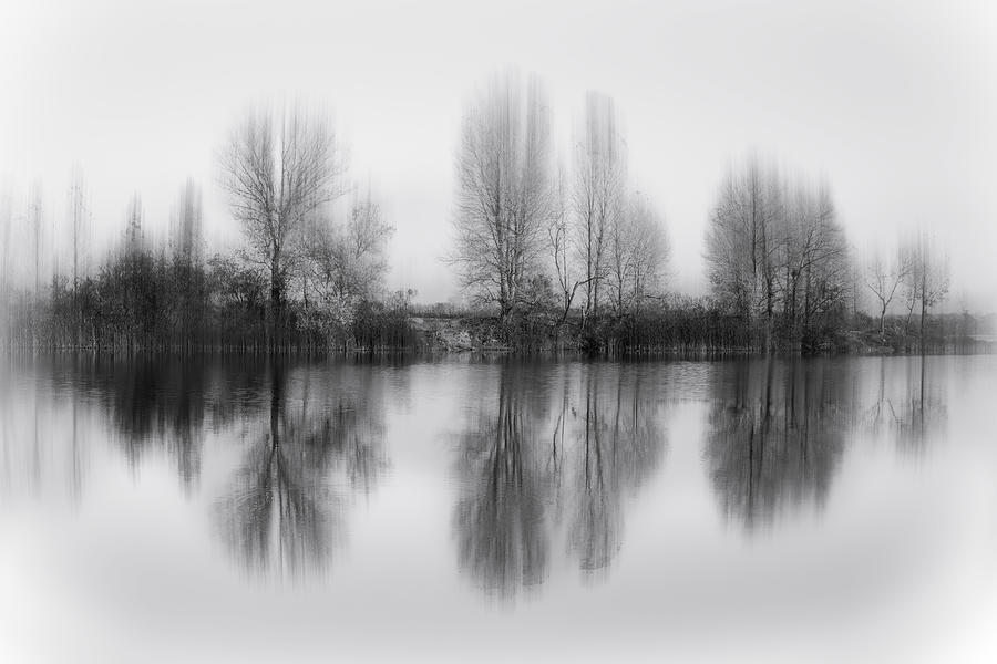 Reflected Trees Photograph by Fabrizio Massetti - Fine Art America