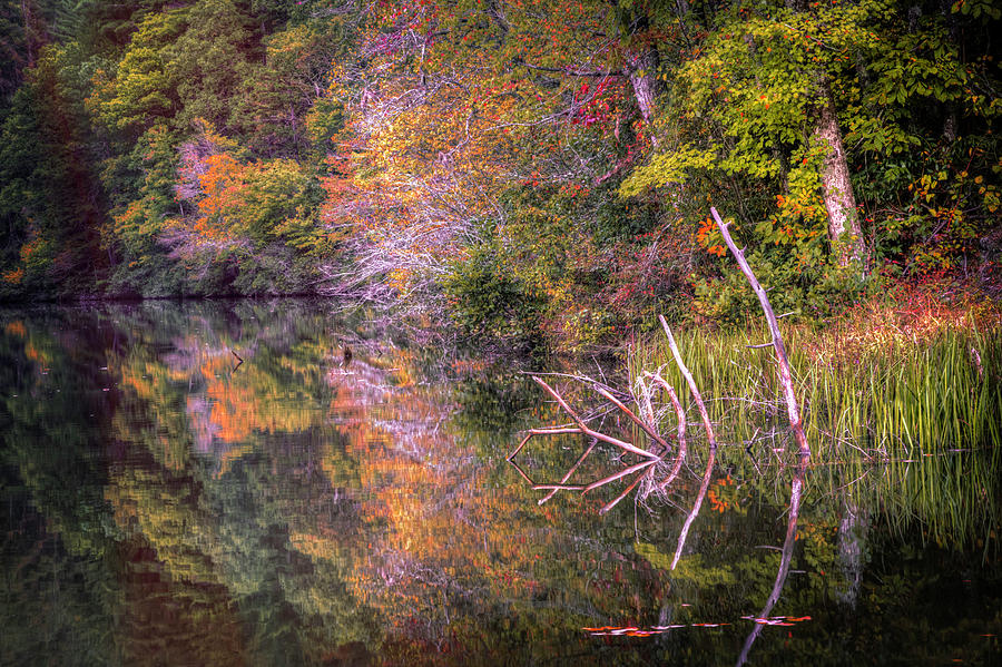 Reflecting on Autumn Photograph by Debra and Dave Vanderlaan
