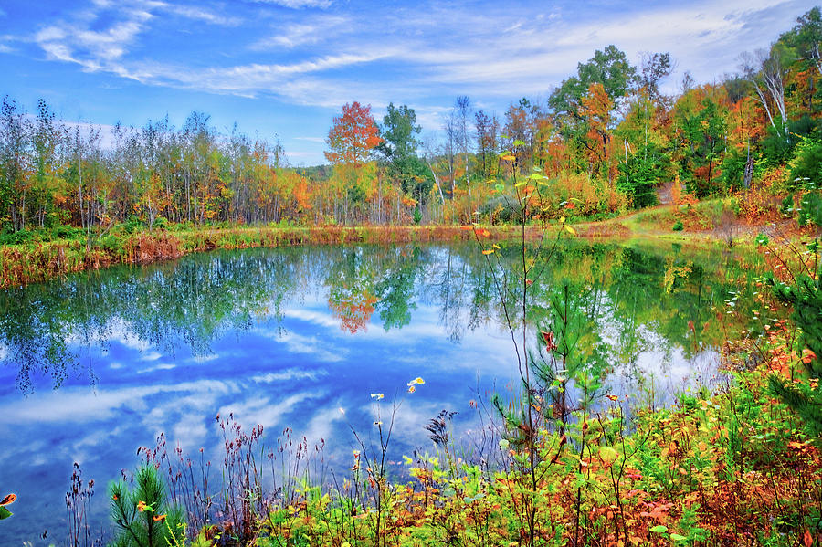 Reflecting on Fall at the Pond Photograph by Lynn Bauer