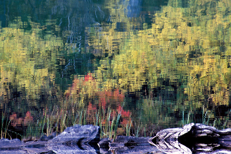 Nature Photograph - Reflecting on Nature by Susan Burger