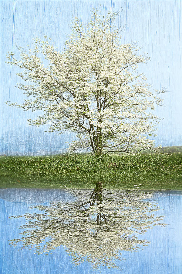 Reflecting on Spring Oil Painting  Photograph by Debra and Dave Vanderlaan