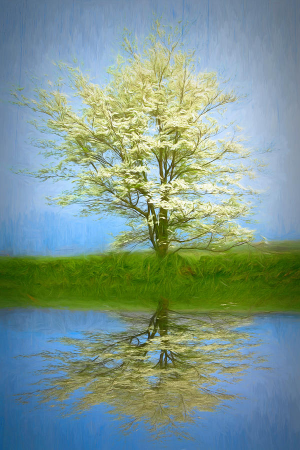 Reflecting on Spring Painting  Photograph by Debra and Dave Vanderlaan