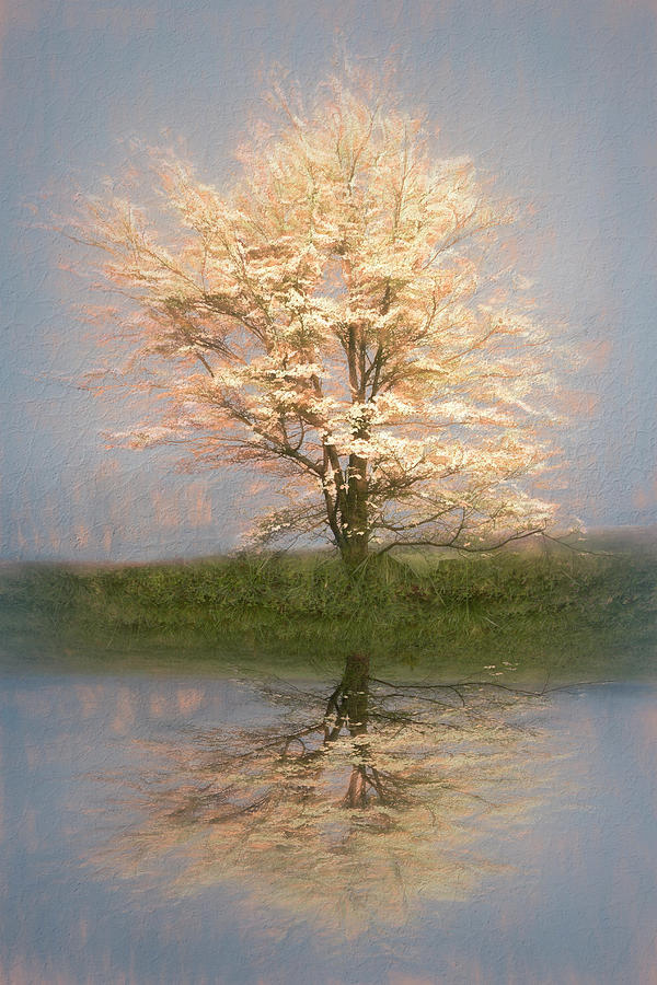 Reflecting on Spring Textured Photograph by Debra and Dave Vanderlaan