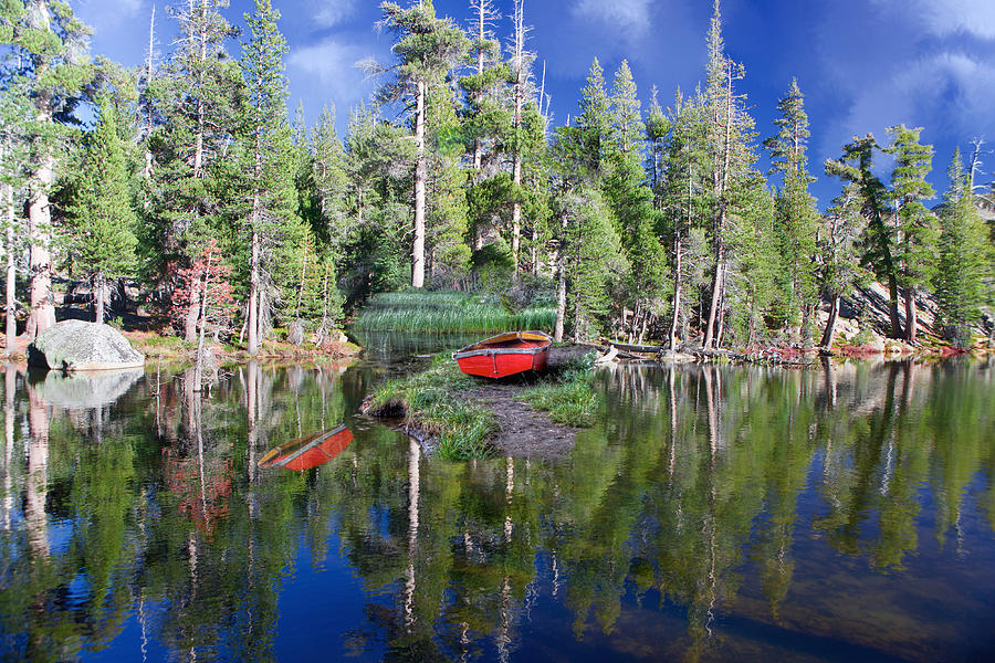 Reflecting Woods Lake Photograph by SC Heffner