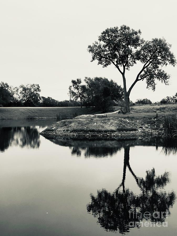 Reflection Photograph by Anita Streich