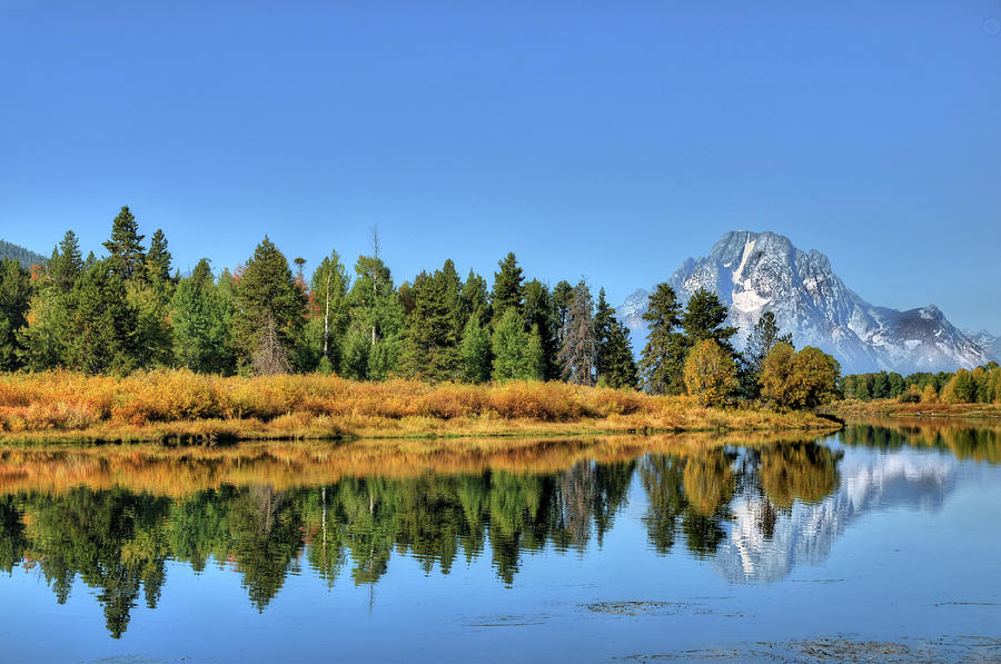 Reflection At Oxbow Bend Photograph by Ronnie Wiggin