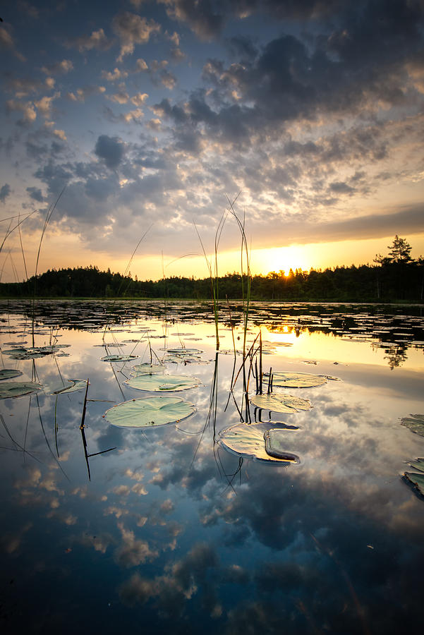 Reflection Photograph by Benny Pettersson