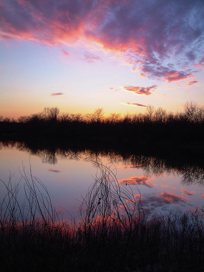 Reflection Photograph by David McInnis - Fine Art America