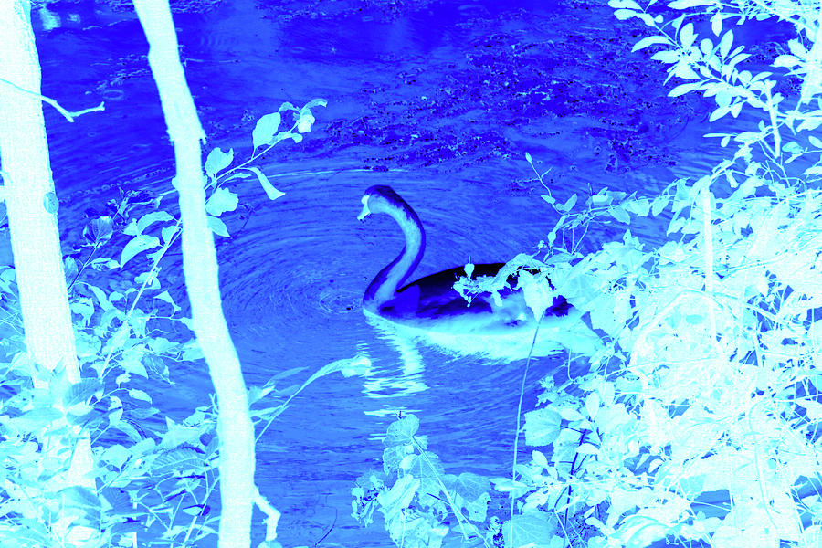 Reflection by Giorgio Tuscani Reflection by Giorgio Tuscani