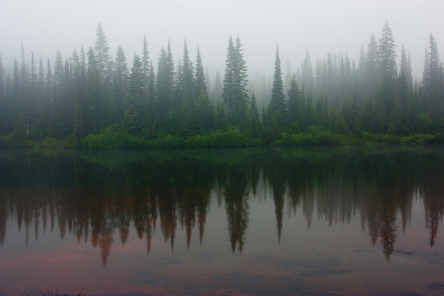 Reflection Lakes Fog Photograph by Bradwetli Photography