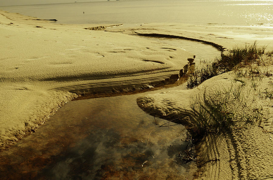 Reflection Photograph by Maggy Marsh