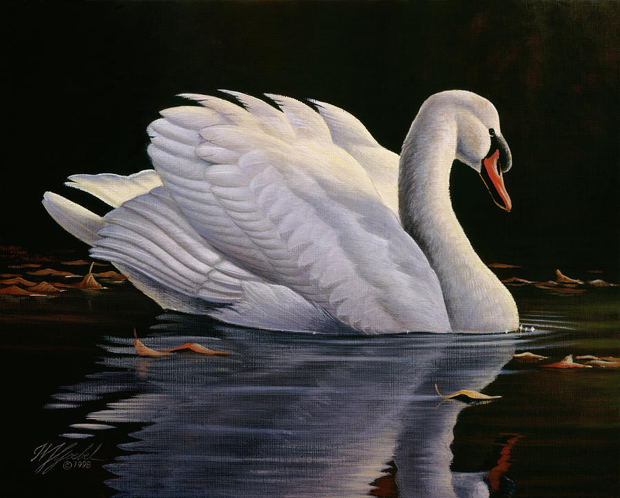 Animal Painting - Reflection - Mute Swan by Wilhelm Goebel