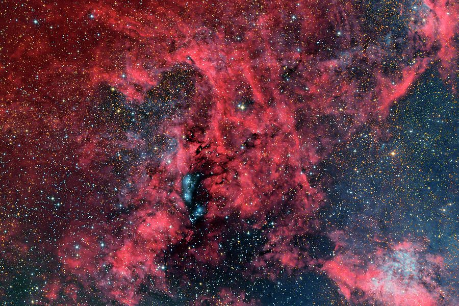 Reflection Nebula Ngc 6914 In Cygnus Photograph by Reinhold Wittich