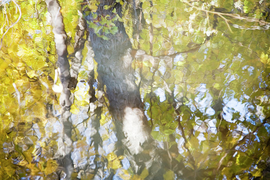 Reflection Of Autumn Trees In Water Photograph by Michael Duva | Fine ...