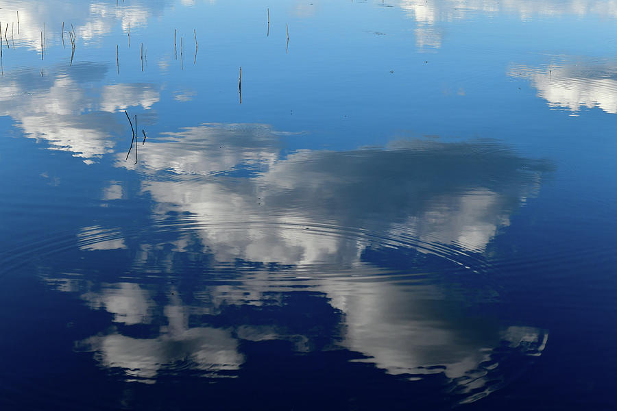 Reflection Of Blue Sky And Clouds In The Lake, Timansberg, rebro Province, Sweden Photograph by Torsten Rathjen