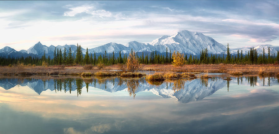 Landscape Photograph - Reflection Of Denali Mountains In Autumn by Dianne Mao