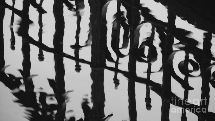 Reflection Of Iron Gate Photograph by Sylvia Hoogland / Eyeem Reflection Of Iron Gate Photograph by Sylvia Hoogland / Eyeem