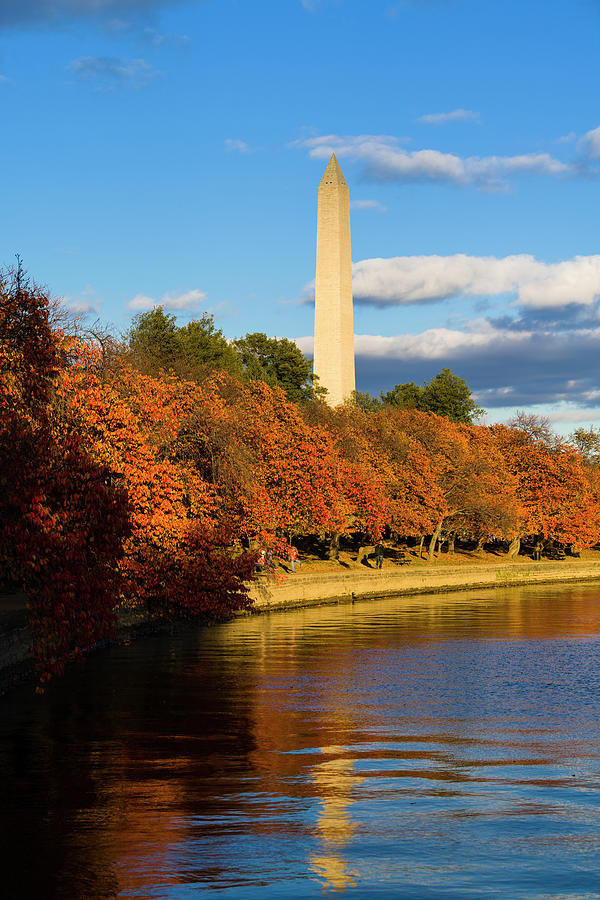 Monuments Men Reflection