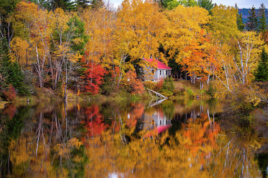 Fall Photograph - Reflection Of Perfection by Mark Papke