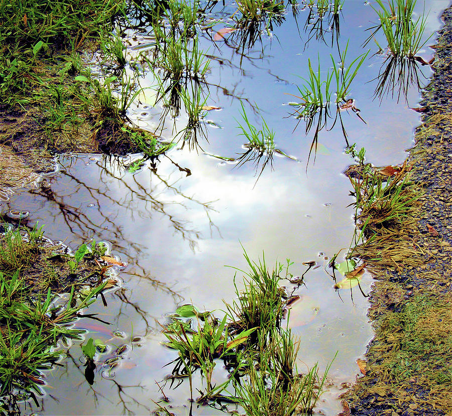 Reflection Of Sky In A Puddle Photograph