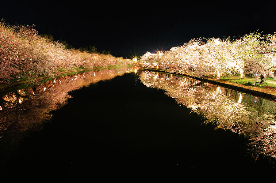Reflection Of The Cherry Blossoms Photograph by The Landscape Of Regional Cities In Japan.