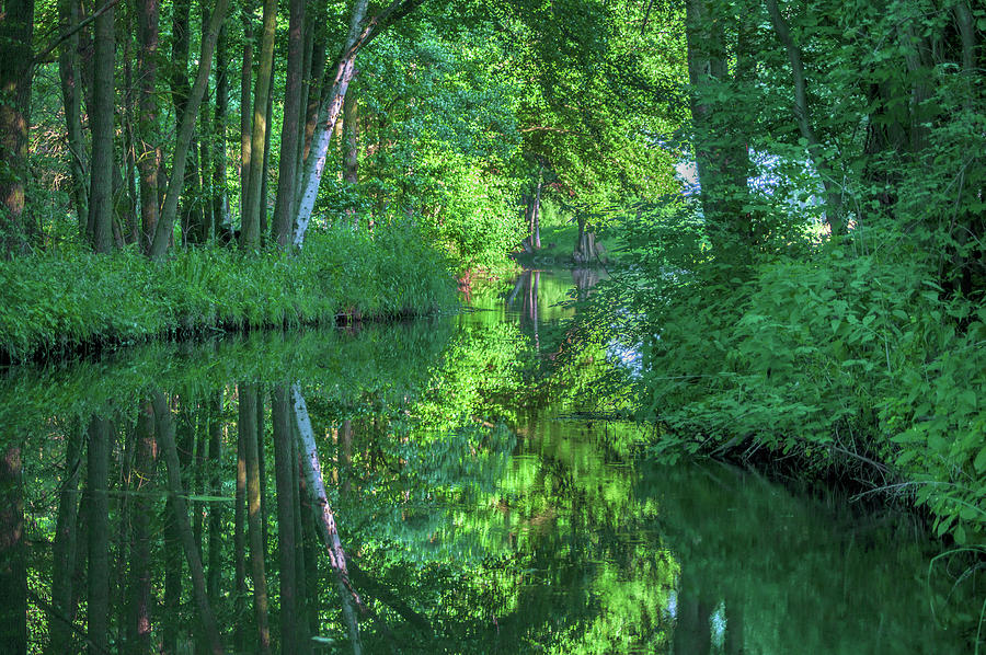 Reflection of trees in the Spreewald Photograph by Sun Travels