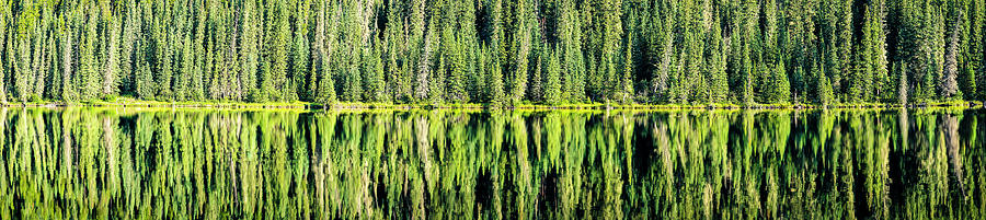 Reflection Of Trees On Water, Jasper Photograph by Panoramic Images