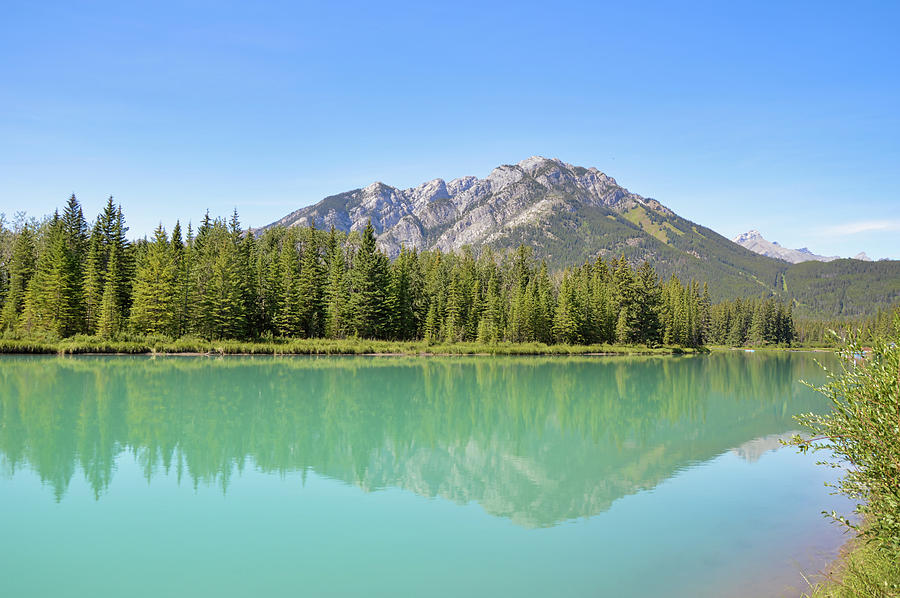 Reflection on Bow River Photograph by Sylvain Beauregard - Fine Art America