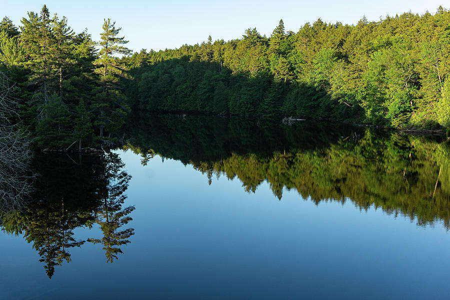 Reflections 2 Photograph by Su Buehler | Fine Art America