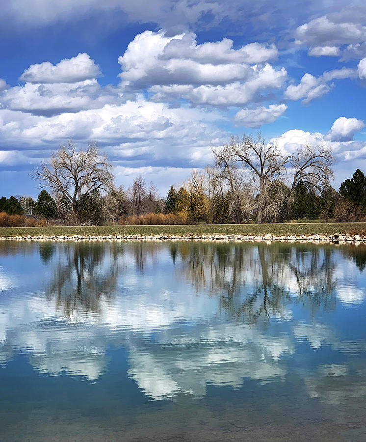 Reflections at Harpers Lake Photograph by Marilyn Hunt