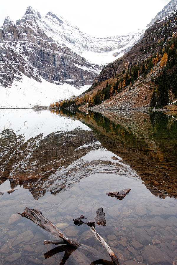 Reflections at Lake Agnes Photograph by Catherine Reading
