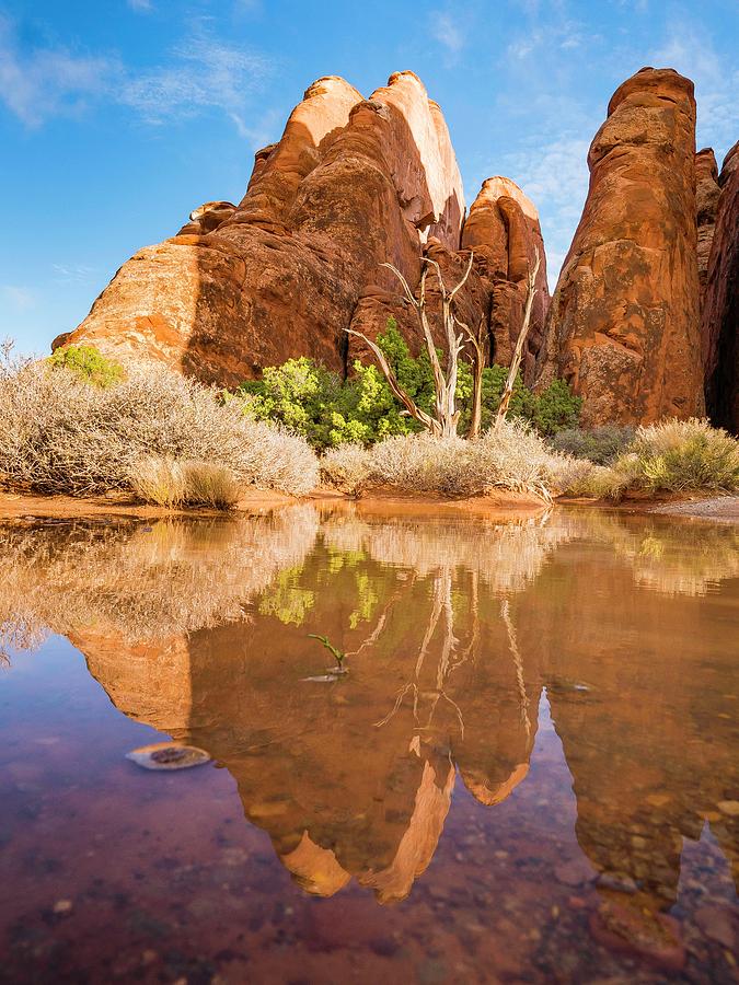 Reflections at Sand Dune Arch by Catherine Trevor-Roberts Reflections at Sand Dune Arch by Catherine Trevor-Roberts