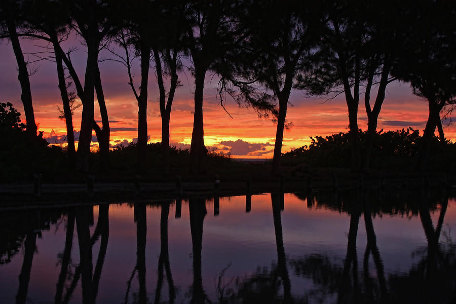 Reflections At Sunset Photograph By Hh Photography Of Florida Pixels
