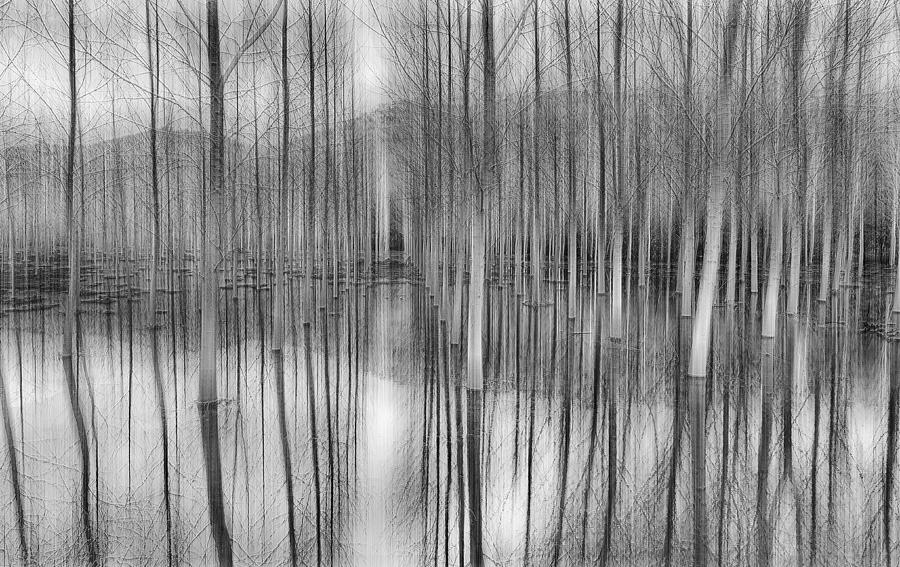 Black And White Photograph - Reflections by Fran Osuna