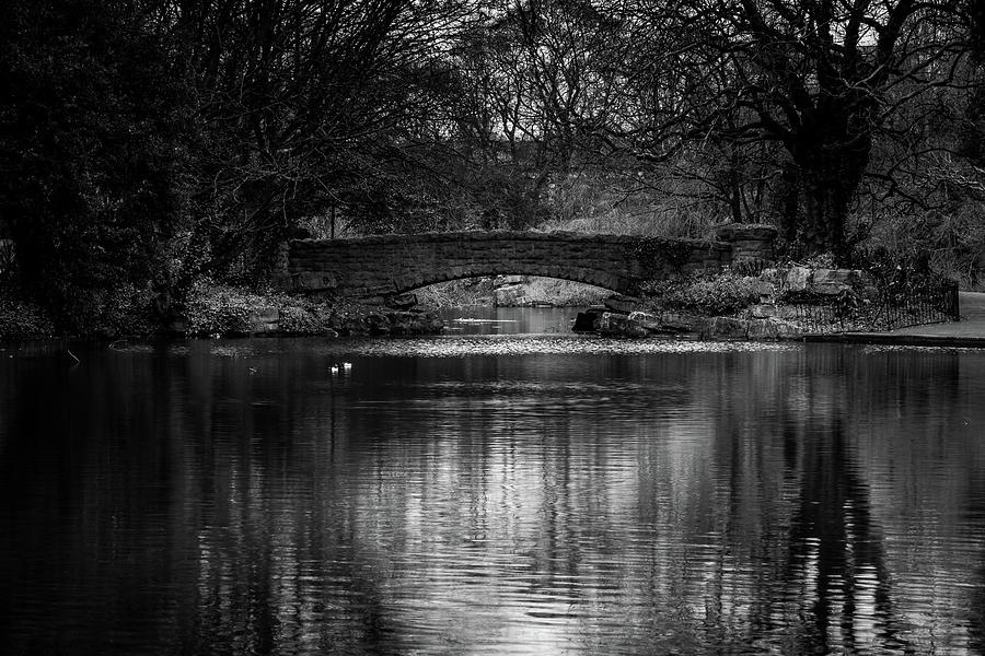 Reflections in a Dublin Park Photograph by Georgia Fowler