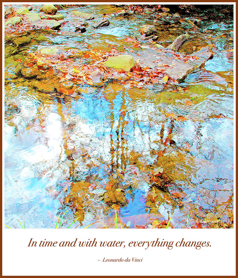 Reflections in an Autumn Stream Photograph by A Macarthur Gurmankin