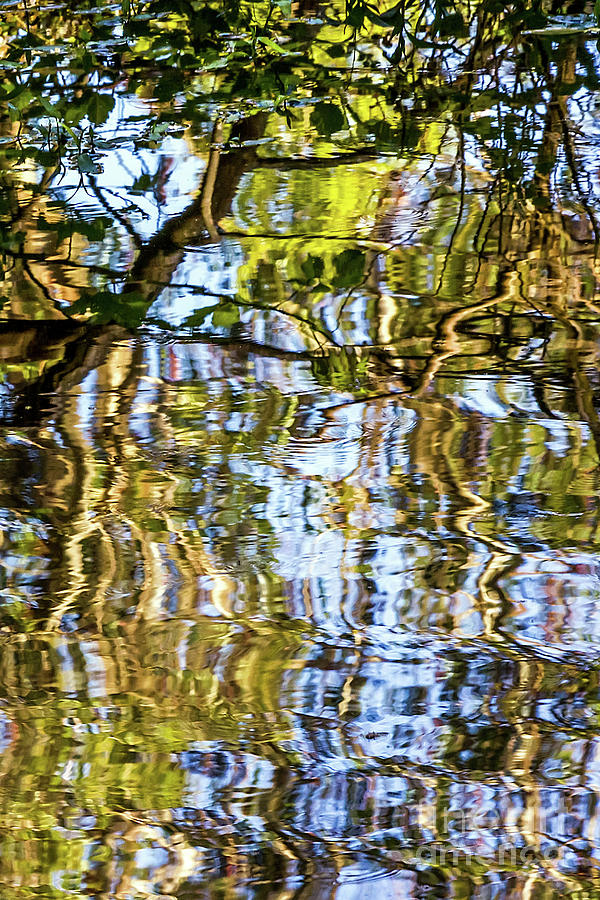 Reflections in Blue Photograph by Kate Brown