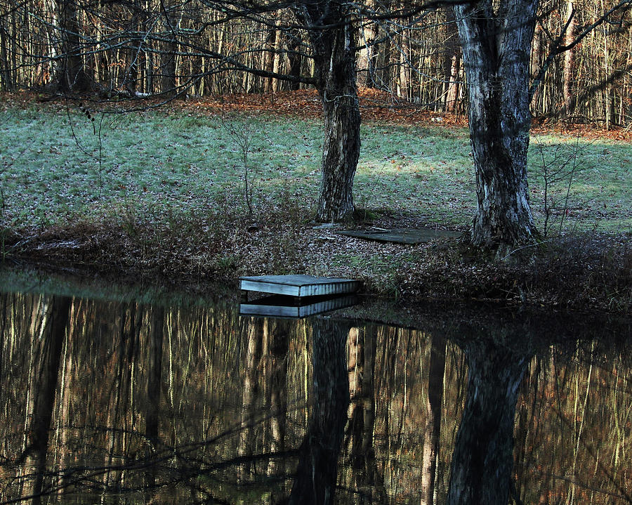 Reflections in Fall Photograph by On The Go Candace Daniels - Fine Art ...