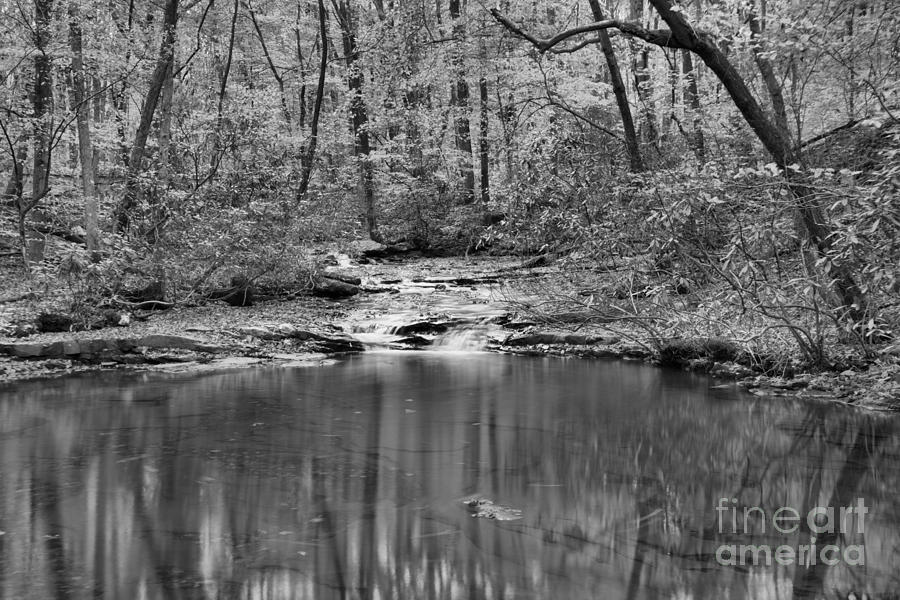 Reflections In Jonathan Run Black And White Photograph by Adam Jewell